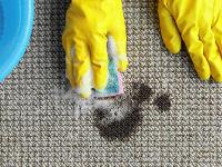 Mountain Best Carpet & Upholstery Cleaning image 4